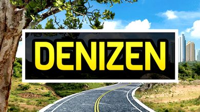 Denizen Free Download