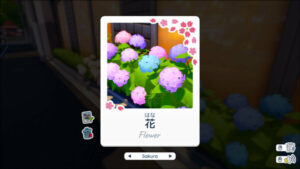 Shashingo: Learn Japanese with Photography Free Download